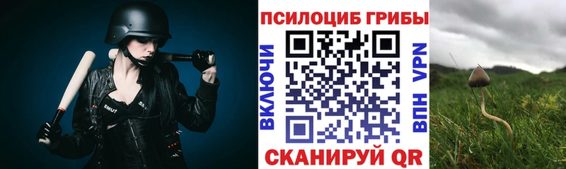 дарнет шоп Североморск Галлюциногенные грибы MAGIC MUSHROOMS